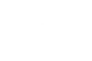 Product image with a clear background